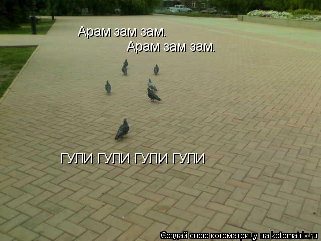 Арам зам зам. Арам зам зам. ГУЛИ ГУЛИ ГУЛИ ГУЛИ... Котоматрица: Арам зам зам. Арам зам зам. ГУЛИ ГУЛИ ГУЛИ ГУЛИ