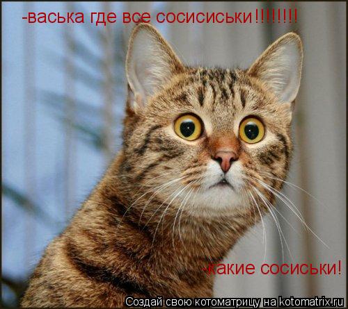 -васька где все сосисиськи !!!!!!!! -какие сосиськи!... Котоматрица: -васька где все сосисиськи !!!!!!!! -какие сосиськи!