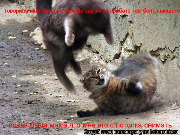 права была мама.что мне его с потолка снимать говорила мне мама не выходи замуж за аробата тем боле п... Котоматрица: права была мама.что мне его с потолка снимать говорила мне мама не выходи замуж за аробата тем боле пьющего говорила мне мама не выходи заму