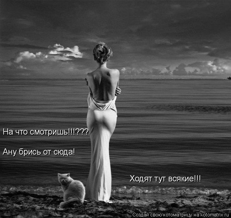Ану брись от сюда! На что смотришь!!!??? Ходят тут всякие!!!... Котоматрица: Ану брись от сюда! На что смотришь!!!??? Ходят тут всякие!!!