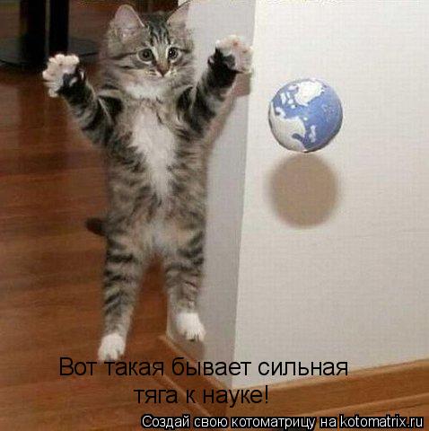 Вот такая бывает сильная тяга к науке!... Котоматрица: Вот такая бывает сильная тяга к науке!