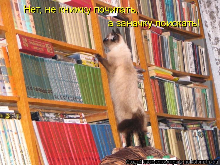 Нет, не книжку почитать, а заначку поискать!... Котоматрица: Нет, не книжку почитать, а заначку поискать!