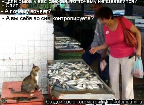 -Если рыба у вас свежая, то почему не шевелится? - Спит. - А почему воняет? - А вы себя во сне контр... Котоматрица: -Если рыба у вас свежая, то почему не шевелится? - Спит. - А почему воняет? - А вы себя во сне контролируете?