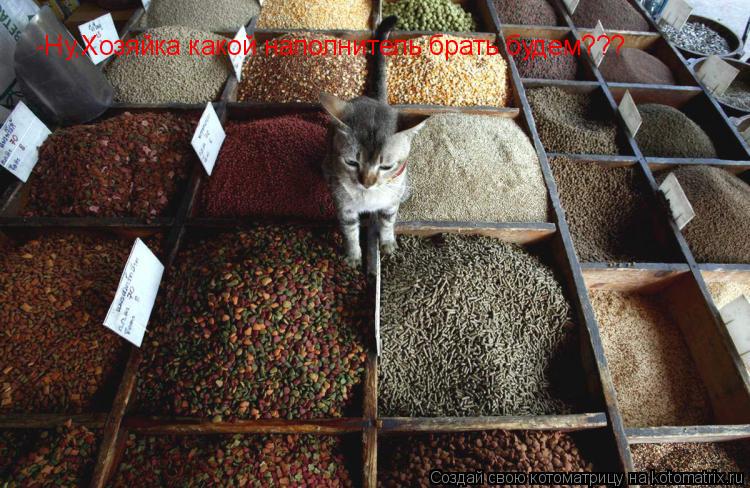 -Ну,Хозяйка какой наполнитель брать будем???... Котоматрица: -Ну,Хозяйка какой наполнитель брать будем???