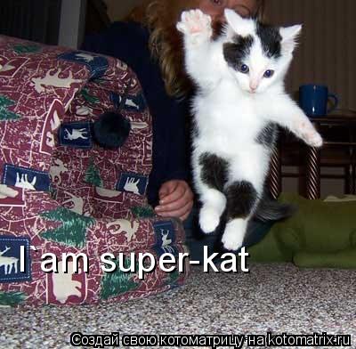 I`am super-kat... Котоматрица: I`am super-kat