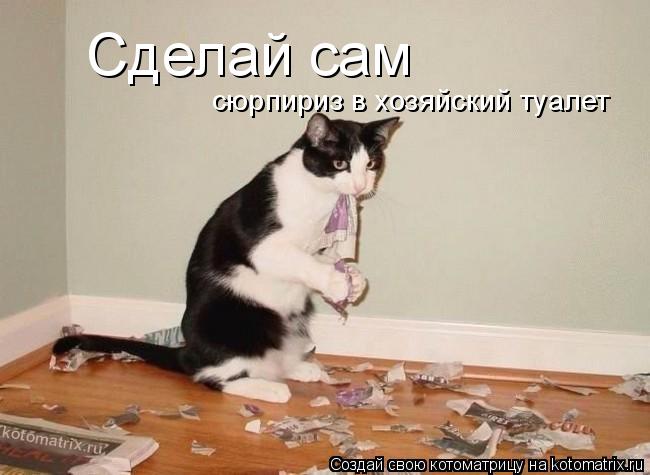 Сделай сам сюрпириз в хозяйский туалет... Котоматрица: Сделай сам сюрпириз в хозяйский туалет