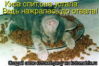 Киса спит,она устала: Ведь нажралась до отвала!... Котоматрица: Киса спит,она устала: Ведь нажралась до отвала!