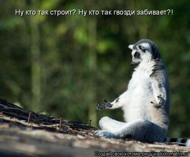 Ну кто так строит? Ну кто так гвозди забивает?!... Котоматрица: Ну кто так строит? Ну кто так гвозди забивает?!