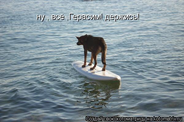 ну , всё ,Герасим! держись!... Котоматрица: ну , всё ,Герасим! держись!