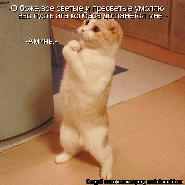 -О боже,все светые и пресветые умоляю вас пусть эта колбаса достанется мне.- -Аминь.-... Котоматрица: -О боже,все светые и пресветые умоляю вас пусть эта колбаса достанется мне.- -Аминь.-