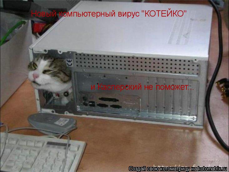 Новый компьютерный вирус "КОТЕЙКО" и Касперский не поможет...... Котоматрица: Новый компьютерный вирус "КОТЕЙКО" и Касперский не поможет...