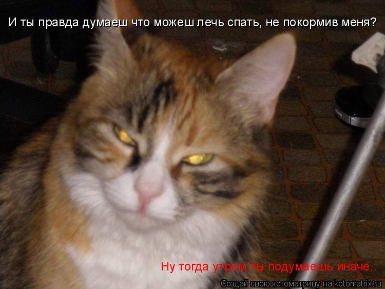 И ты правда думаеш что можеш лечь спать, не покормив меня? Ну тогда утром ты подумаешь иначе..... Котоматрица: И ты правда думаеш что можеш лечь спать, не покормив меня? Ну тогда утром ты подумаешь иначе..