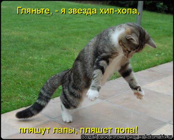 Гляньте, - я звезда хип-хопа, пляшут лапы, пляшет попа!... Котоматрица: Гляньте, - я звезда хип-хопа, пляшут лапы, пляшет попа!