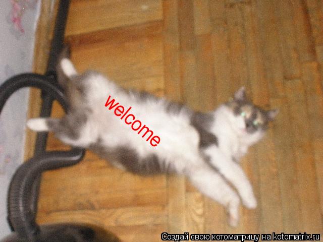 welcome... Котоматрица: welcome