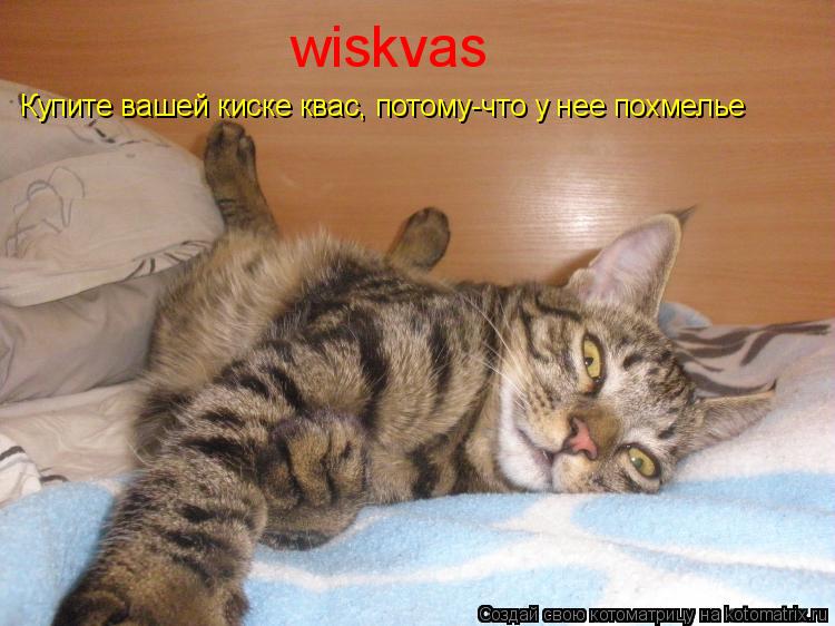 wiskvas Купите вашей киске квас, потому-что у нее похмелье... Котоматрица: wiskvas Купите вашей киске квас, потому-что у нее похмелье