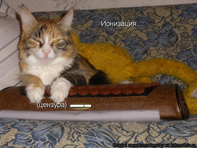 Ионизация.... (цензура) - - -... Котоматрица: Ионизация.... (цензура) - - -