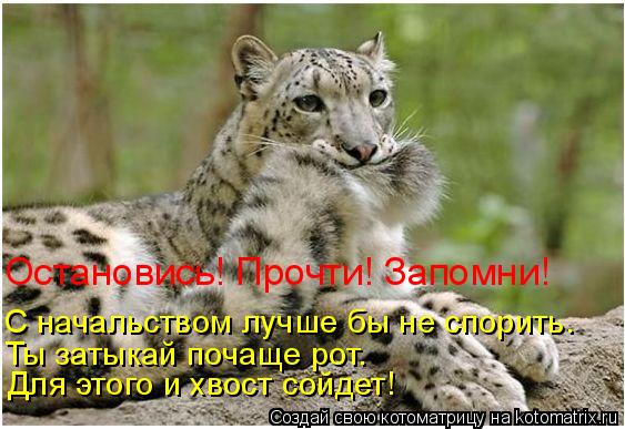 С начальством лучше бы не спорить. Ты затыкай почаще рот. Для этого и хвост сойдет! Остановись! Прочт... Котоматрица: С начальством лучше бы не спорить. Ты затыкай почаще рот. Для этого и хвост сойдет! Остановись! Прочти! Запомни!