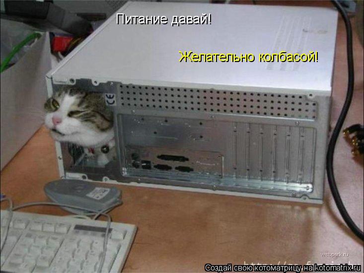Питание давай! Желательно колбасой!... Котоматрица: Питание давай! Желательно колбасой!