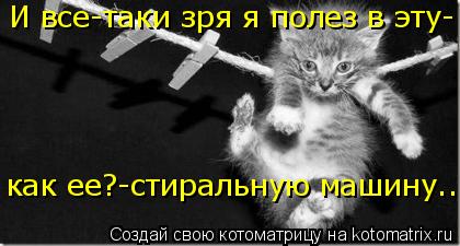 И все-таки зря я полез в эту- как ее?-стиральную машину...... Котоматрица: И все-таки зря я полез в эту- как ее?-стиральную машину...