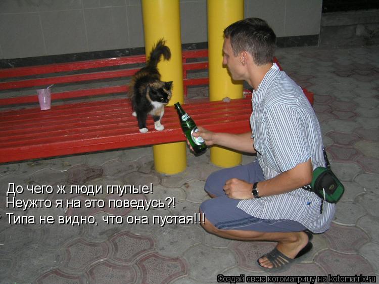 До чего ж люди глупые! Неужто я на это поведусь?! Типа не видно, что она пустая!!!... Котоматрица: До чего ж люди глупые! Неужто я на это поведусь?! Типа не видно, что она пустая!!!