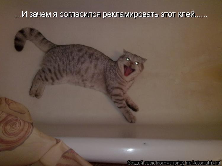 ...И зачем я согласился рекламировать этот клей...... ...И зачем я согласился рекламировать этот клей... Котоматрица: ...И зачем я согласился рекламировать этот клей...... ...И зачем я согласился рекламировать этот клей......