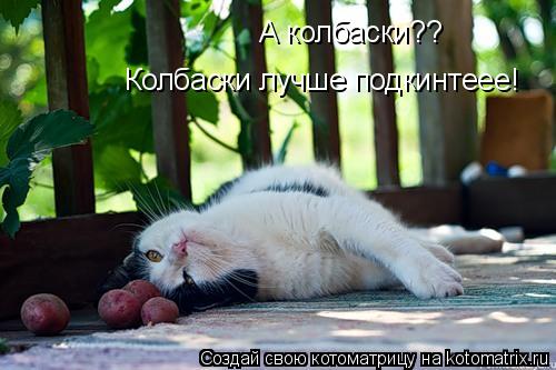 А колбаски?? Колбаски лучше подкинтеее!... Котоматрица: А колбаски?? Колбаски лучше подкинтеее!