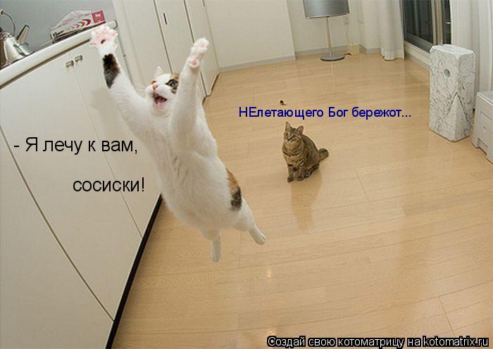 - Я лечу к вам, сосиски! НЕлетающего Бог бережот...... Котоматрица: - Я лечу к вам, сосиски! НЕлетающего Бог бережот...