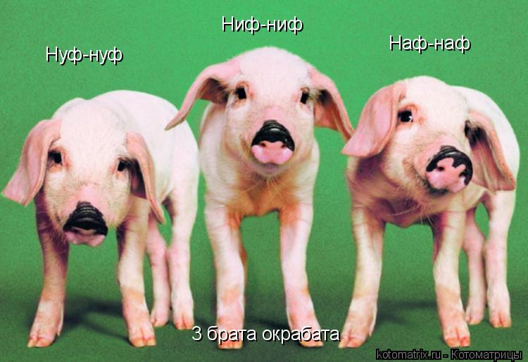 Ниф-ниф Наф-наф Нуф-нуф 3 брата окрабата... Котоматрица: Ниф-ниф Наф-наф Нуф-нуф 3 брата окрабата