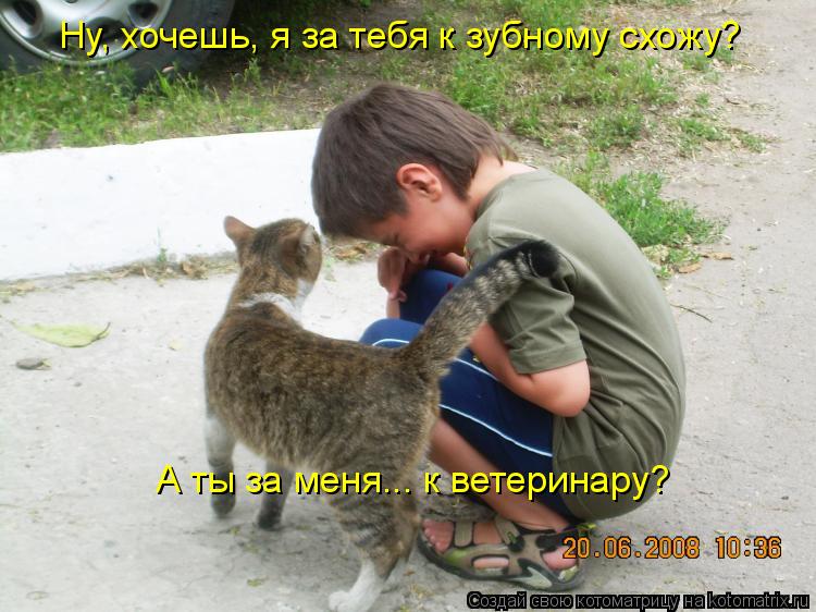 Котоматрица: Ну, хочешь, я за тебя к зубному схожу? А ты за меня... к ветеринару?
