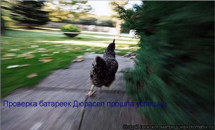 Проверка батареек Дюрасел прошла успешно.... Котоматрица: Проверка батареек Дюрасел прошла успешно.