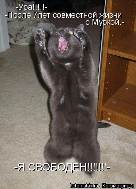 -Ура!!!!!- -После 7лет совместной жизни с Муркой.- -Я СВОБОДЕН!!!!!!!-... Котоматрица: -Ура!!!!!- -После 7лет совместной жизни с Муркой.- -Я СВОБОДЕН!!!!!!!-
