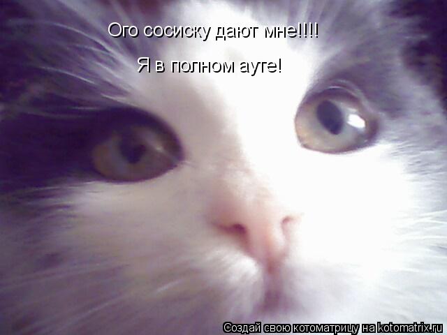 Ого сосиску дают мне!!!! Я в полном ауте!... Котоматрица: Ого сосиску дают мне!!!! Я в полном ауте!