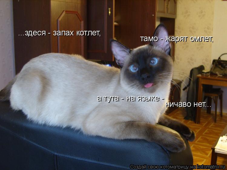 ...здеся - запах котлет, тамо - жарят омлет, а тута - на языке - ничаво нет...... Котоматрица: ...здеся - запах котлет, тамо - жарят омлет, а тута - на языке - ничаво нет...