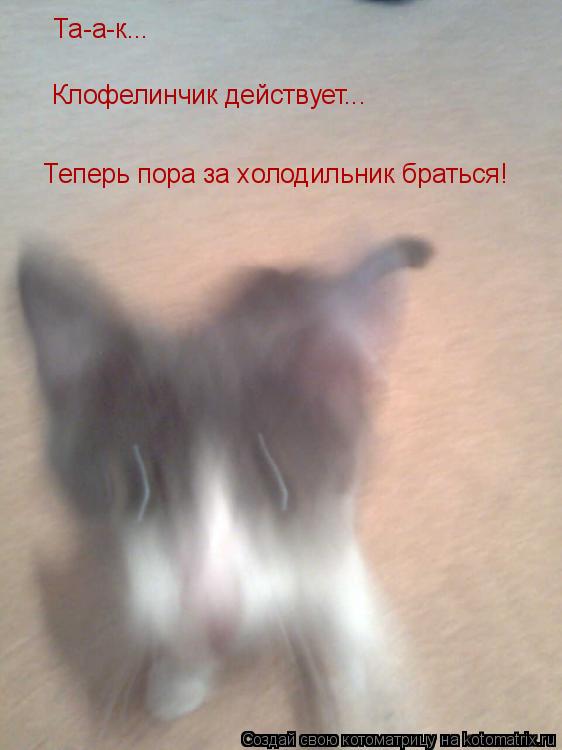 Теперь пора за холодильник браться! Клофелинчик действует... Та-а-к...... Котоматрица: Теперь пора за холодильник браться! Клофелинчик действует... Та-а-к...