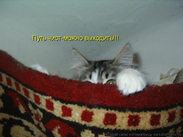 Путь чист-можно выходить!!!... Котоматрица: Путь чист-можно выходить!!!