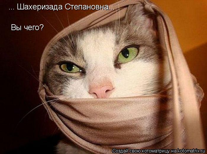 ... Шахеризада Степановна... Вы чего?... Котоматрица: ... Шахеризада Степановна... Вы чего?