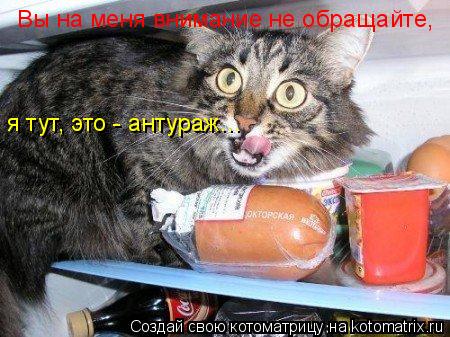 я тут, это - антураж... Вы на меня внимание не обращайте,... Котоматрица: я тут, это - антураж... Вы на меня внимание не обращайте,