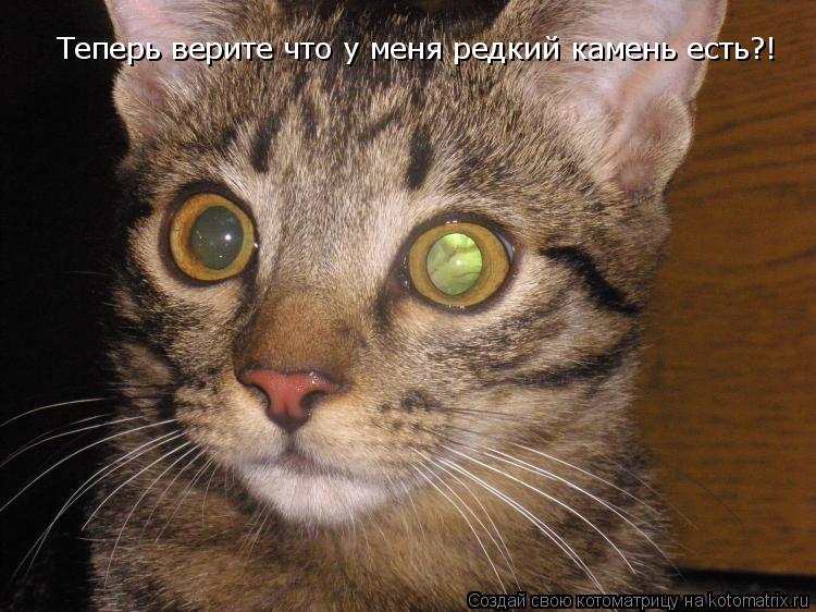 Теперь верите что у меня редкий камень есть?!... Котоматрица: Теперь верите что у меня редкий камень есть?!
