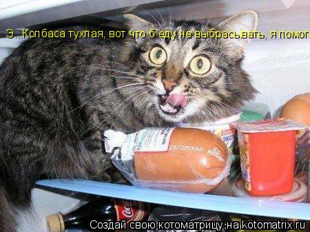 Э...Колбаса тухлая, вот что б еду не выбрасывать, я помогаю!... Котоматрица: Э...Колбаса тухлая, вот что б еду не выбрасывать, я помогаю!