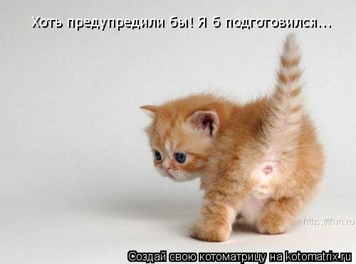 Хоть предупредили бы! Я б подготовился...... Котоматрица: Хоть предупредили бы! Я б подготовился...