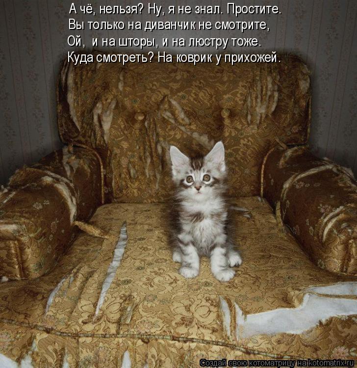 А чё, нельзя? Ну, я не знал. Простите. Вы только на диванчик не смотрите, Ой, и на шторы, и на люст... Котоматрица: А чё, нельзя? Ну, я не знал. Простите. Вы только на диванчик не смотрите, Ой, и на шторы, и на люстру тоже. Куда смотреть? На коврик у прихожей.