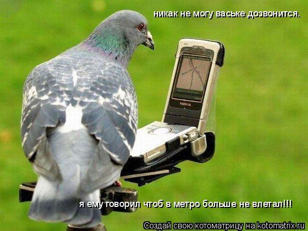 никак не могу ваське дозвонится. я ему говорил чтоб в метро больше не влетал!!!... Котоматрица: никак не могу ваське дозвонится. я ему говорил чтоб в метро больше не влетал!!!