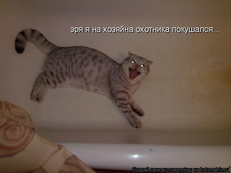 зря я на хозяйна охотника покушался...... Котоматрица: зря я на хозяйна охотника покушался...