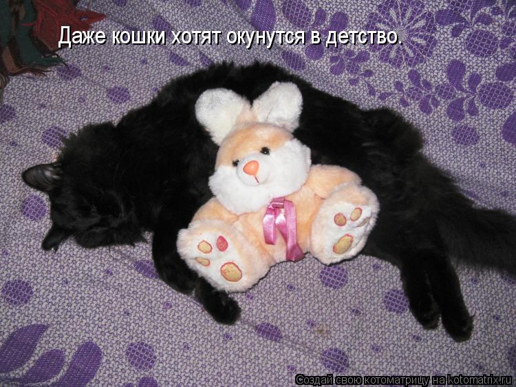 Даже кошки хотят окунутся в детство.... Котоматрица: Даже кошки хотят окунутся в детство.