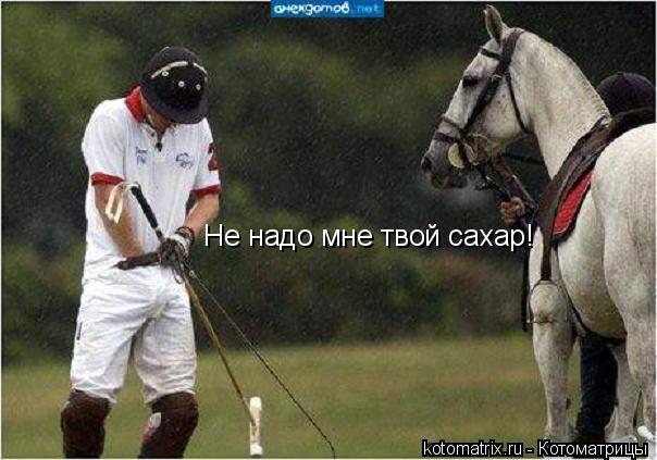 Не надо мне твой сахар!... Котоматрица: Не надо мне твой сахар!