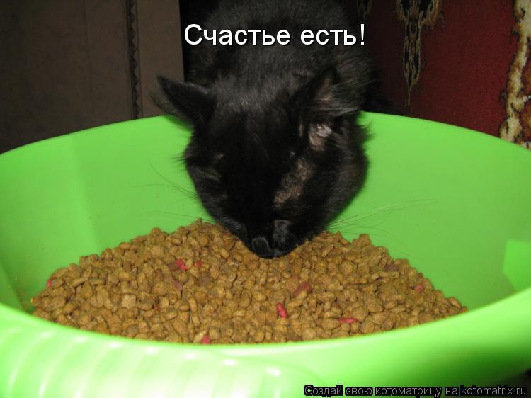 Счастье есть!... Котоматрица: Счастье есть!