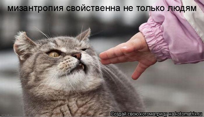 мизантропия свойственна не только людям... Котоматрица: мизантропия свойственна не только людям