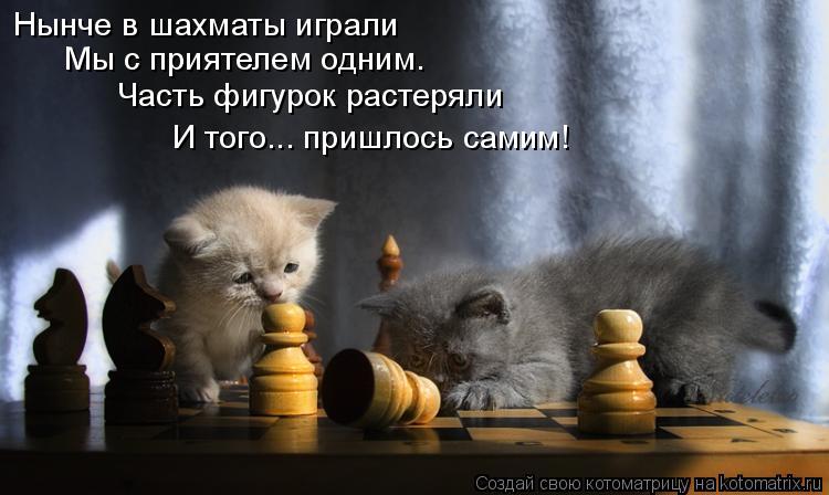 Нынче в шахматы играли Мы с приятелем одним. Часть фигурок растеряли И того... пришлось самим!... Котоматрица: Нынче в шахматы играли Мы с приятелем одним. Часть фигурок растеряли И того... пришлось самим!