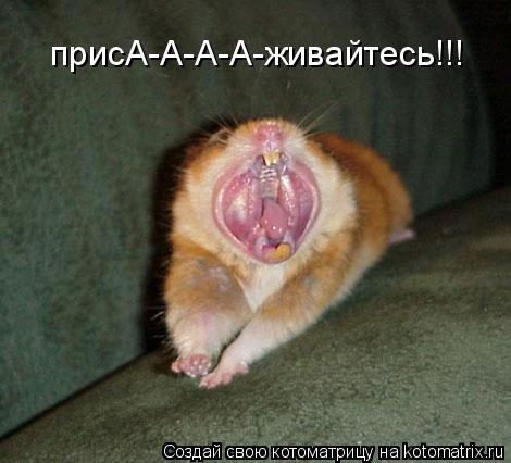 присА-А-А-А-живайтесь!!!... Котоматрица: присА-А-А-А-живайтесь!!!