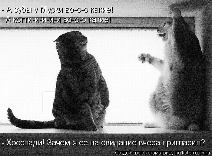 А когти-и-и-и-и во-о-о какие! - А зубы у Мурки во-о-о какие! - Хосспади! Зачем я ее на свидание вчера... Котоматрица: А когти-и-и-и-и во-о-о какие! - А зубы у Мурки во-о-о какие! - Хосспади! Зачем я ее на свидание вчера пригласил?